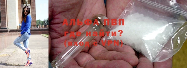 прущие грибы Белоозёрский