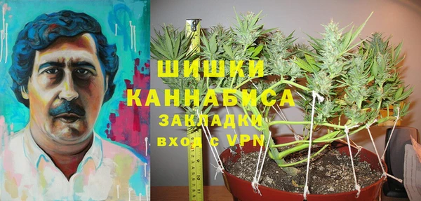 прущие грибы Белоозёрский