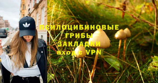 прущие грибы Белоозёрский