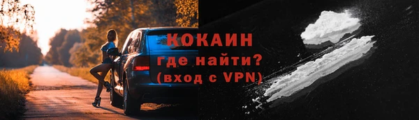 прущие грибы Белоозёрский