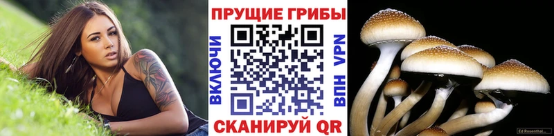 ОМГ ОМГ онион  мориарти состав  Галлюциногенные грибы мухоморы  Нарьян-Мар 